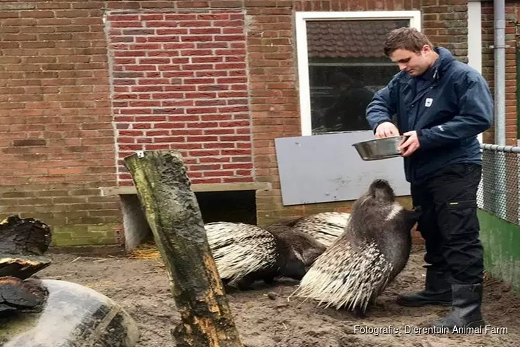 Dierentuin Animal Farm Beverwijk start nieuw project