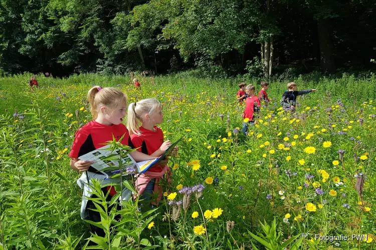 Scholieren onderzoeken ingezaaide akkers op aanwezigheid insecten