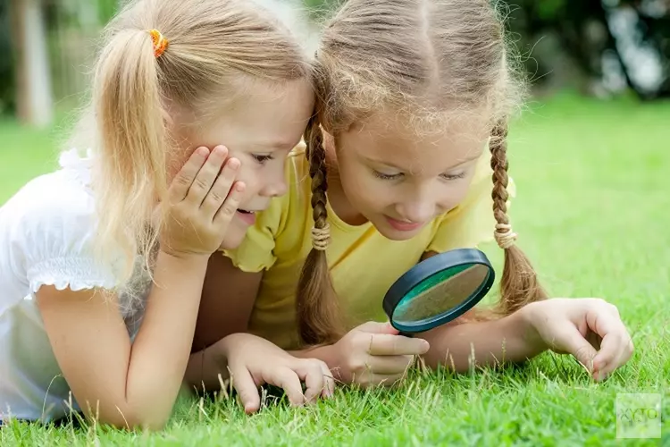 Stokbeesten schilderen, stropoppetjes maken en speurbingo tijdens de Baakbelevenis