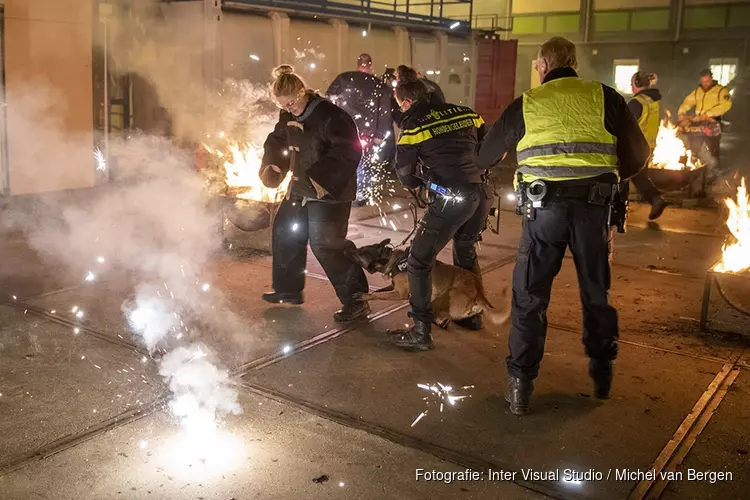 Politiehonden oefenen met vuurwerk