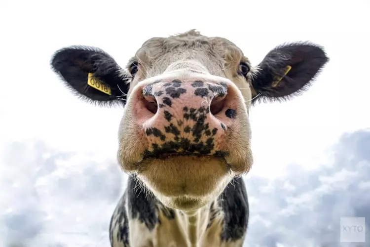 Wijziging data activiteiten op Kinderboerderij Dierendorp en Kinderboerderij De Baak