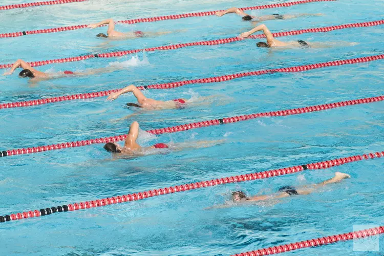 Het leukste en sportiefste zwemevenement voor de hele  familie ! De Zomer Zwem4daagse!