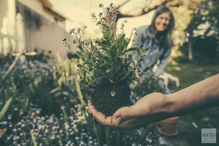 Gezocht: inwoners met groene vingers