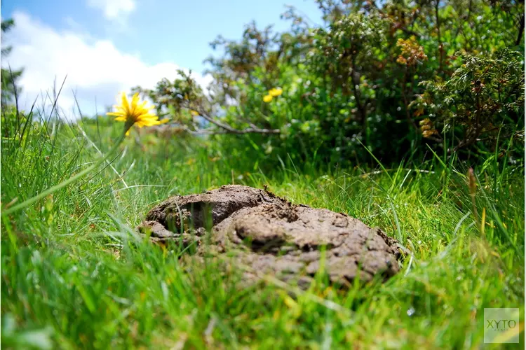 Ontdek alles over poep op Kinderboerderij De Baak