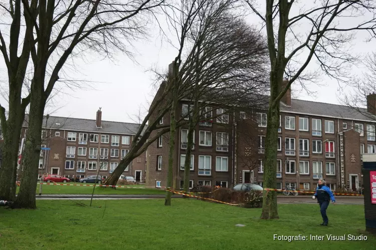 Boom op flat gevallen in Beverwijk