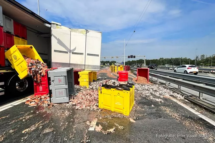 Vrachtwagen verliest lading vis op de A22