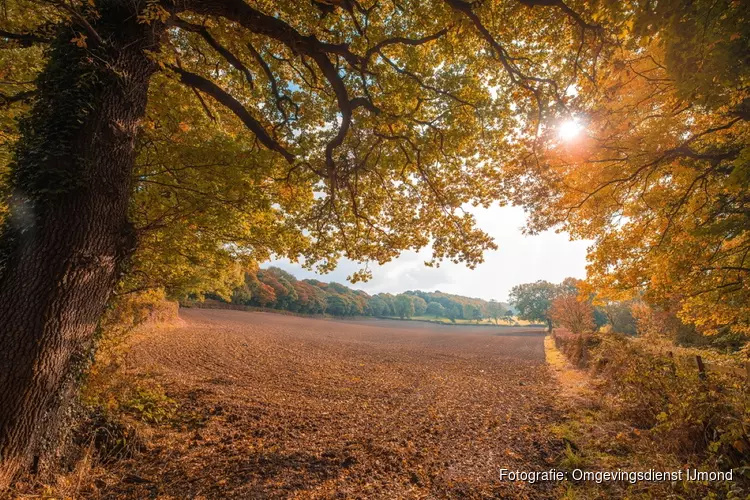 Herfstwandeling in park Westerhout op 19 oktober