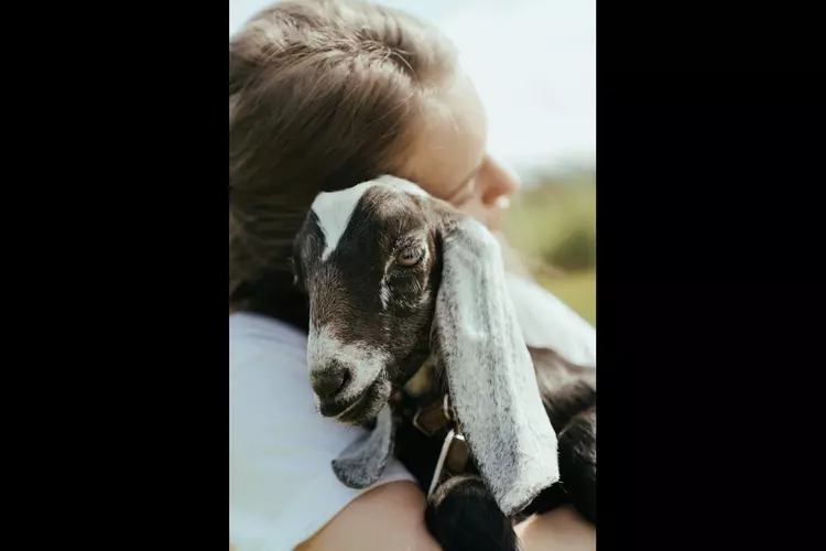 Buiten Bucketlist op Kinderboerderij De Baak