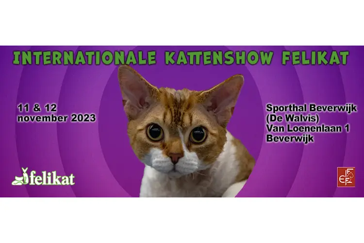 Internationale kattententoonstelling in Beverwijk