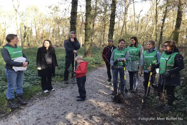 Eerste oogstdag Meer Bomen Nu voor Beverwijk en Heemskerk levert al ruim 300 geredde boompjes op