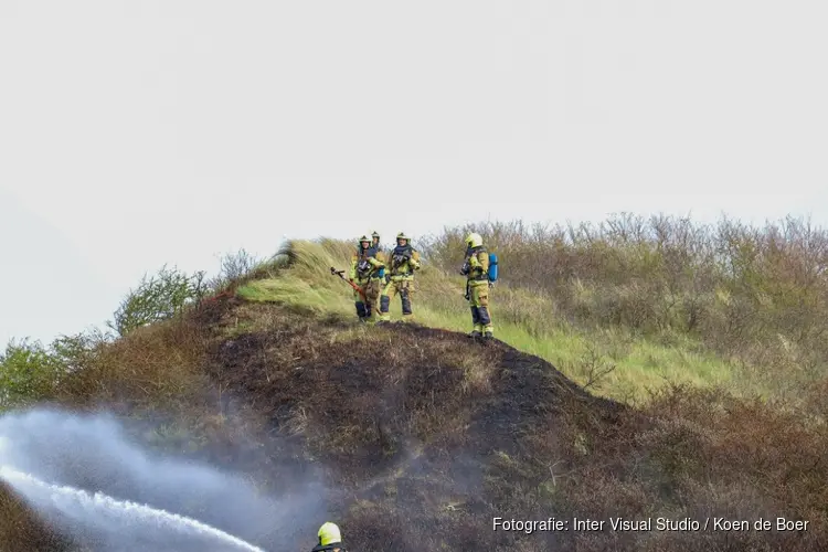 Beginnende duinbrand in Wijk aan Zee: twee kinderen worden gezocht