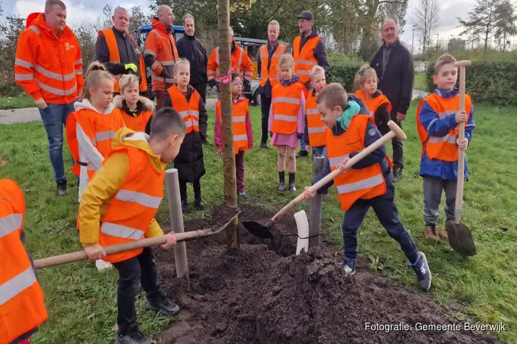 Beverwijk pakt uit met Nationale Boomfeestdag