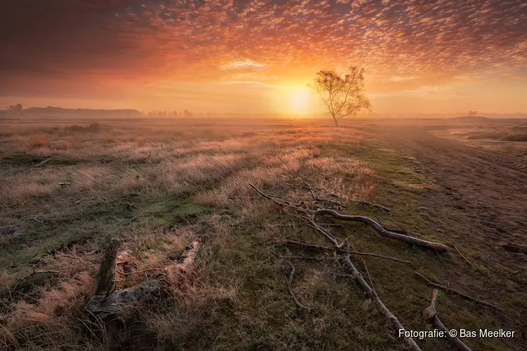 Lezing Bas Meelker ( o.a bekend van het perfecte plaatje )   “Landschapsfotografie door de jaren heen”