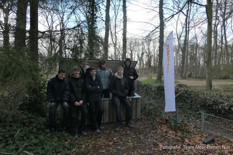 Een groen begin van het jaar met Meer Bomen Nu