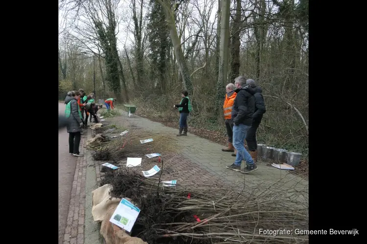 Gratis boompjes en struiken bij Animal Farm op 1 maart