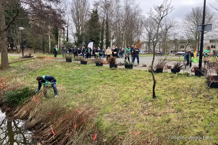 Ruim 3000 gratis boompjes en struiken uitgedeeld