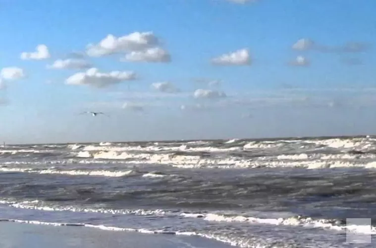 Surfer in problemen op Noordzee