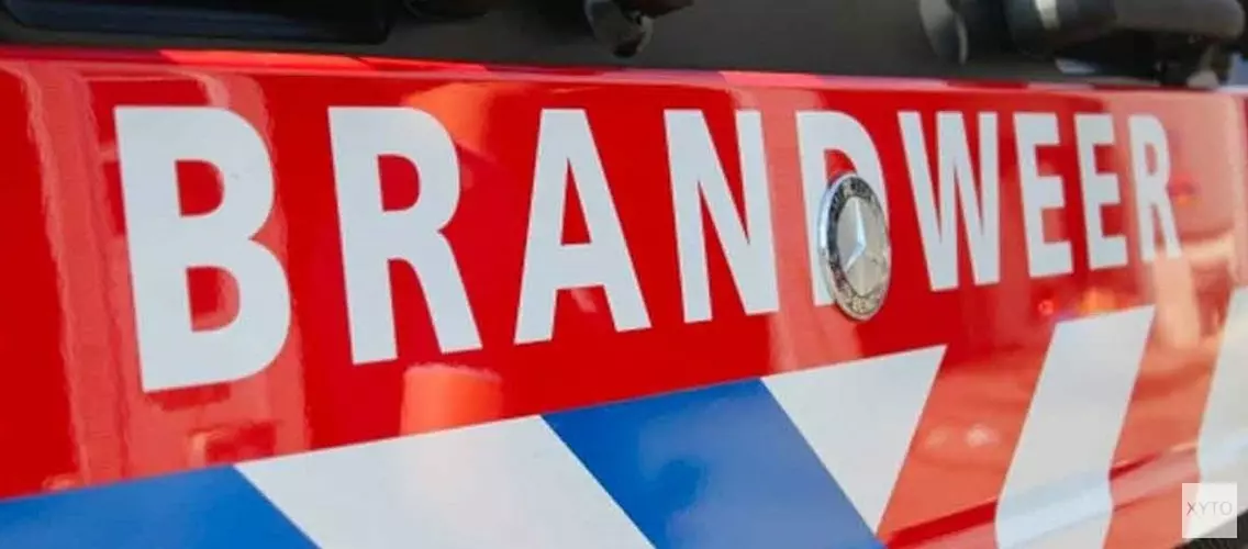 Jonge eendjes uit riool gered door brandweer