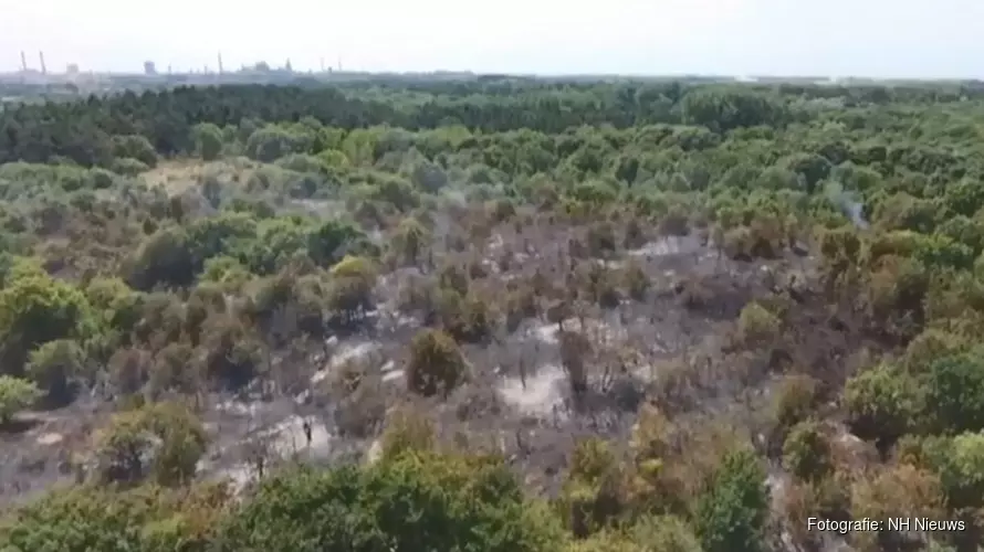 Grote duinbrand Heemskerk toch niet aangestoken