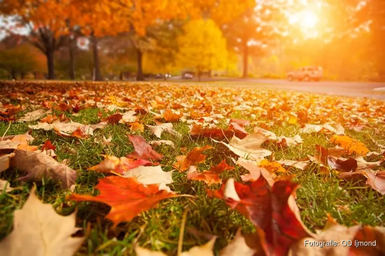 Herfstactiviteiten voor kinderen in het Koetshuijs in Heemskerk