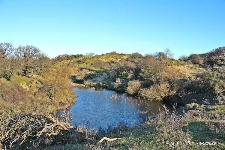 31ste  Winter-Strand-Duinwandeling van WSV "de Zwervers"